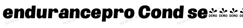 endurancepro Cond se字体转换